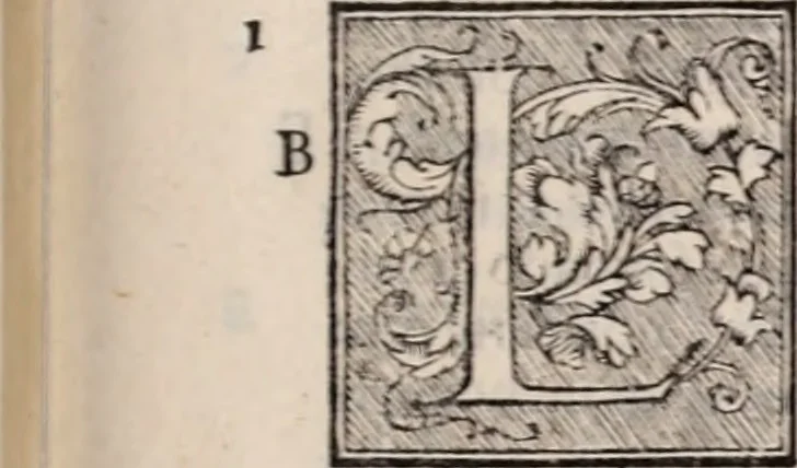 An illustration from Galeni omnia quae extant opera : in latinum sermonem conuersa, 1565, leaf 832