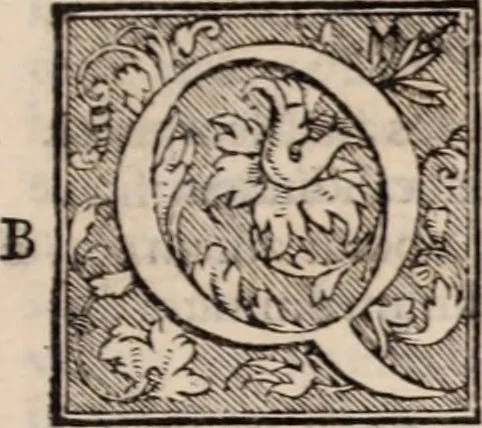 An illustration from Galeni omnia quae extant opera : in latinum sermonem conuersa, 1565, leaf 868