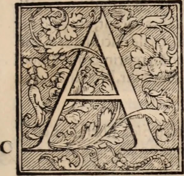 An illustration from Galeni omnia quae extant opera : in latinum sermonem conuersa, 1565, leaf 906