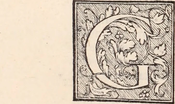 An illustration from Galeni omnia quae extant opera : in latinum sermonem conuersa, 1565, leaf 939