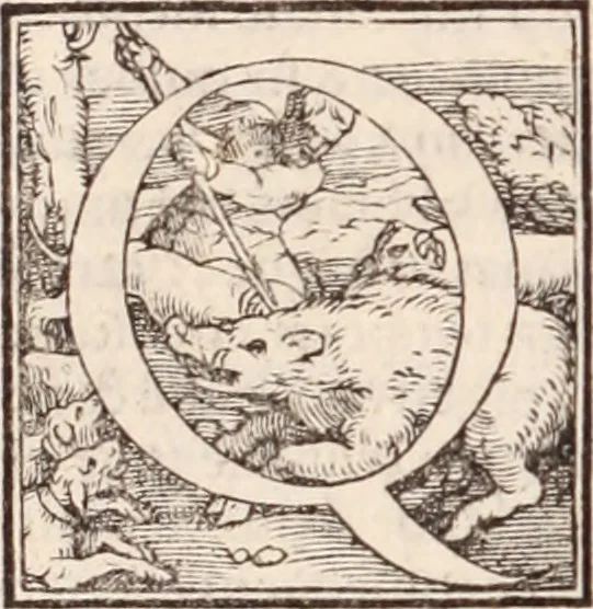 An illustration from Galeni omnia quae extant opera : in latinum sermonem conuersa, 1565, leaf 971