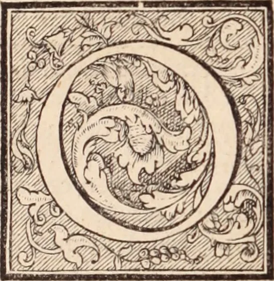 An illustration from Galeni omnia quae extant opera : in latinum sermonem conuersa, 1565, leaf 973