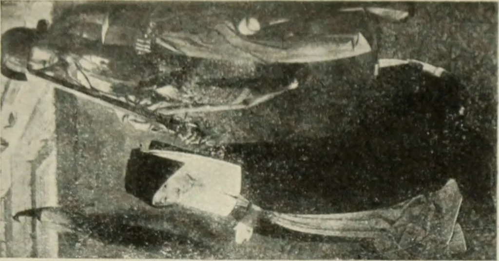 An illustration from Galerie v Rudolfin, 1913, leaf 96