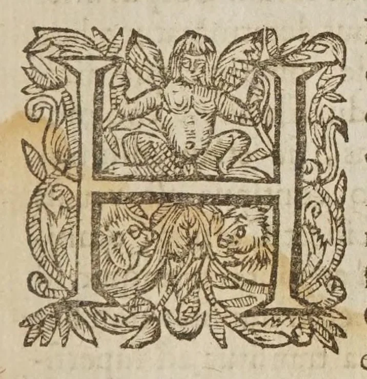 An illustration from Galilaei Galilaei ... Systema cosmicum: in qvo dialogis IV. de duobus maximis mundi systematibus, Ptolemaico & Copernicano, rationibus vtrinque propositis indefinitè disseritur. Accessit locorum S. Scripturae cum terrae mobilitate conciliato., 1641, leaf 19