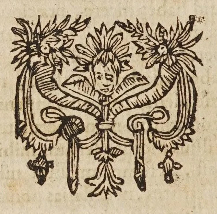 An illustration from Galilaei Galilaei ... Systema cosmicum: in qvo dialogis IV. de duobus maximis mundi systematibus, Ptolemaico & Copernicano, rationibus vtrinque propositis indefinitè disseritur. Accessit locorum S. Scripturae cum terrae mobilitate conciliato., 1641, leaf 220