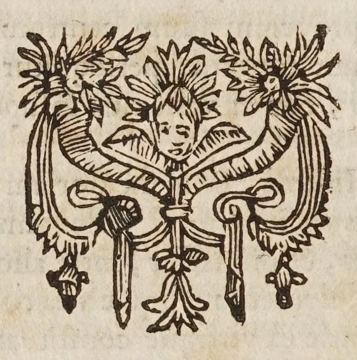 An illustration from Galilaei Galilaei ... Systema cosmicum: in qvo dialogis IV. de duobus maximis mundi systematibus, Ptolemaico & Copernicano, rationibus vtrinque propositis indefinitè disseritur. Accessit locorum S. Scripturae cum terrae mobilitate conciliato., 1641, leaf 326