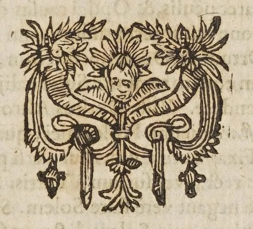 An illustration from Galilaei Galilaei ... Systema cosmicum: in qvo dialogis IV. de duobus maximis mundi systematibus, Ptolemaico & Copernicano, rationibus vtrinque propositis indefinitè disseritur. Accessit locorum S. Scripturae cum terrae mobilitate conciliato., 1641, leaf 365