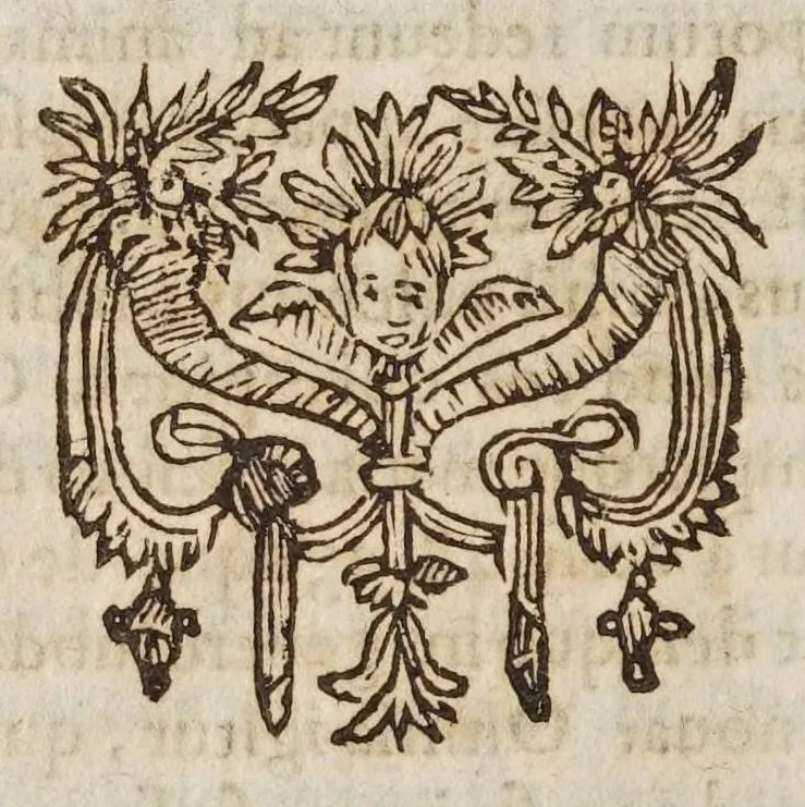 An illustration from Galilaei Galilaei ... Systema cosmicum: in qvo dialogis IV. de duobus maximis mundi systematibus, Ptolemaico & Copernicano, rationibus vtrinque propositis indefinitè disseritur. Accessit locorum S. Scripturae cum terrae mobilitate conciliato., 1641, leaf 370