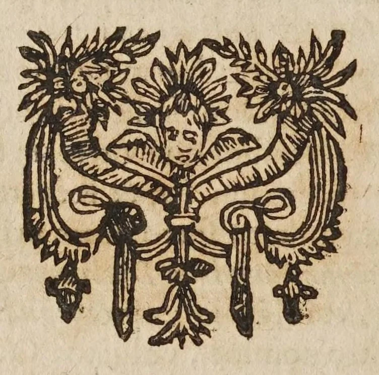An illustration from Galilaei Galilaei ... Systema cosmicum: in qvo dialogis IV. de duobus maximis mundi systematibus, Ptolemaico & Copernicano, rationibus vtrinque propositis indefinitè disseritur. Accessit locorum S. Scripturae cum terrae mobilitate conciliato., 1641, leaf 396