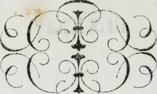 An illustration from Galleria Lochis : Scuola Bergamasca .., 1860, leaf 107