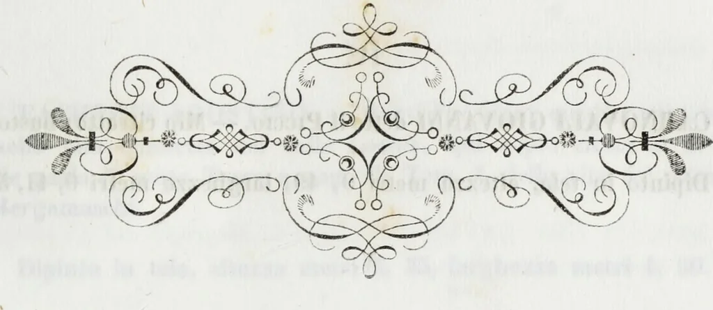 An illustration from Galleria Lochis : Scuola Bergamasca .., 1860, leaf 208
