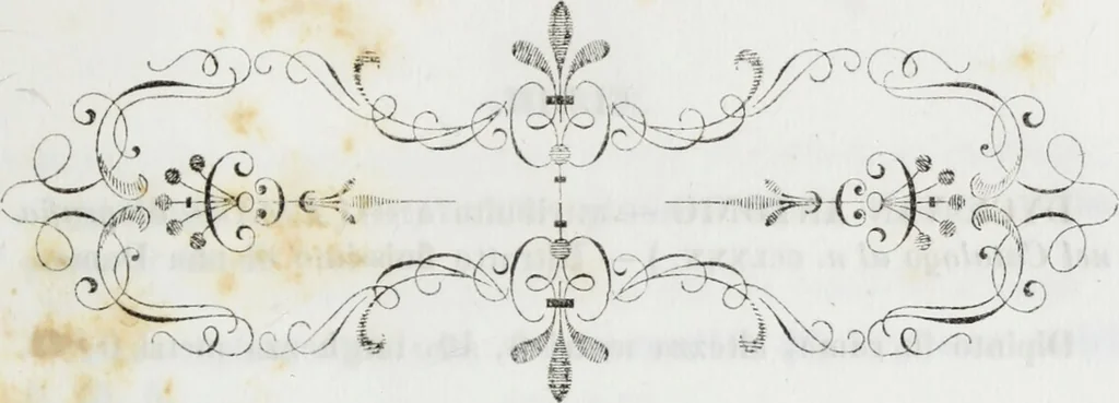 An illustration from Galleria Lochis : Scuola Bergamasca .., 1860, leaf 268