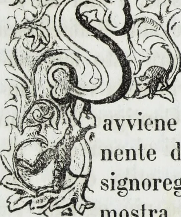 An illustration from Galleria Lochis : Scuola Bergamasca .., 1860, leaf 294