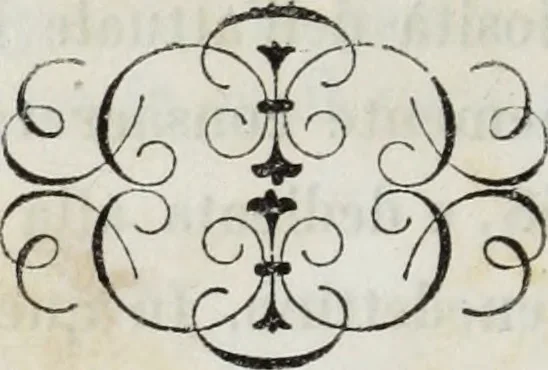 An illustration from Galleria Lochis : Scuola Bergamasca .., 1860, leaf 313
