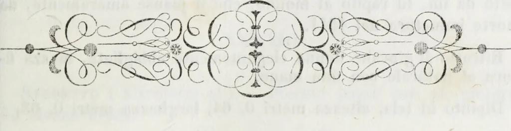 An illustration from Galleria Lochis : Scuola Bergamasca .., 1860, leaf 32