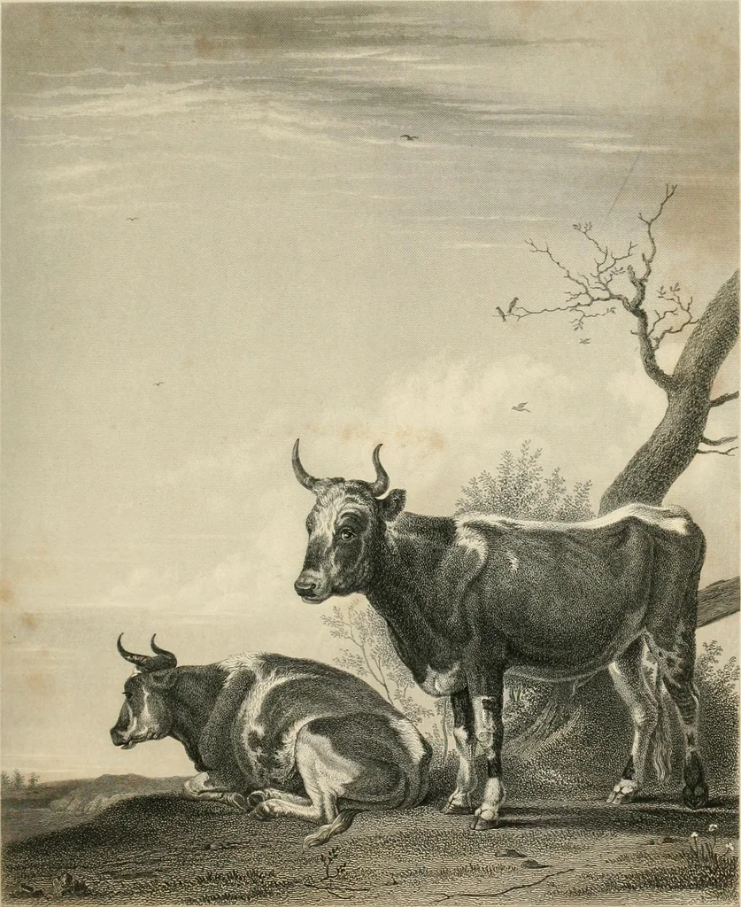 An illustration from The galleries of Vienna; a selection of engravings after the most celebrated pictures in the Imperial gallery of the Belvedere, and from other renowned collections in Vienna. With descriptive text, 1867, leaf 259