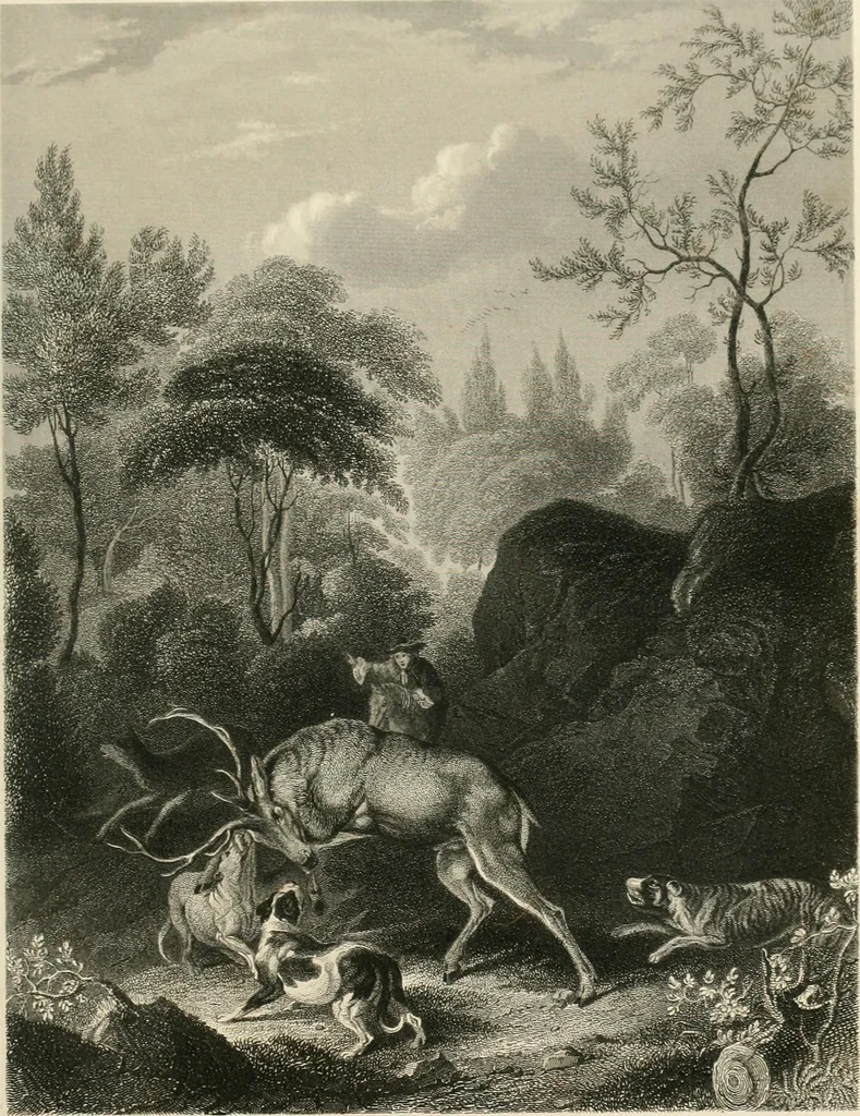 An illustration from The galleries of Vienna; a selection of engravings after the most celebrated pictures in the Imperial gallery of the Belvedere, and from other renowned collections in Vienna. With descriptive text, 1867, leaf 309