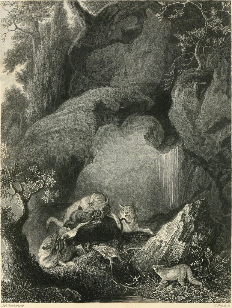 An illustration from The galleries of Vienna; a selection of engravings after the most celebrated pictures in the Imperial gallery of the Belvedere, and from other renowned collections in Vienna. With descriptive text, 1867, leaf 408