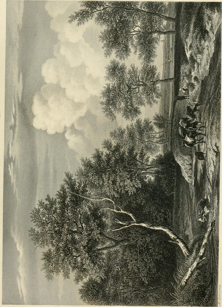 An illustration from The galleries of Vienna; a selection of engravings after the most celebrated pictures in the Imperial gallery of the Belvedere, and from other renowned collections in Vienna. With descriptive text, 1867, leaf 63