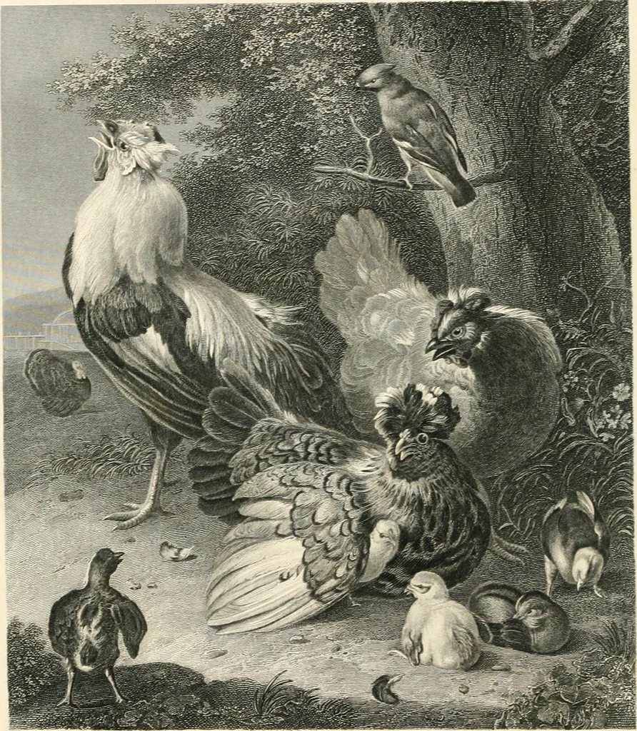 An illustration from The galleries of Vienna; a selection of engravings after the most celebrated pictures in the Imperial gallery of the Belvedere, and from other renowned collections in Vienna. With descriptive text, 1867, leaf 74