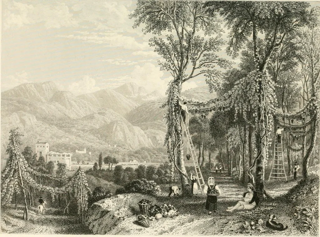 An illustration from The gallery of modern British artists; consisting of a series of engravings from works of the most eminent artists of the day, including Messrs. Turner, Roberts, Harding, Clennel, Dewint, Austin, Messrs. Stanfield, Bonnington, Prout, Cattermole, C. Fielding, Cox, &c. &c, 1834, leaf 199