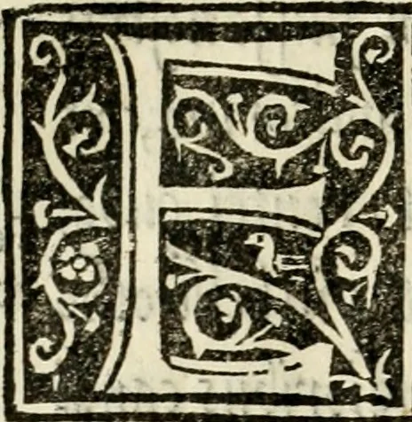 An illustration from Gallorvm Insvbrvm antiqvae sedes, 1541, leaf 29