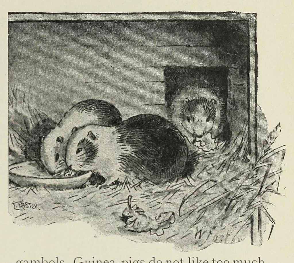 An illustration from The games book for boys and girls : a volume of old and new pastimes, with original illustrations, 1897, leaf 193