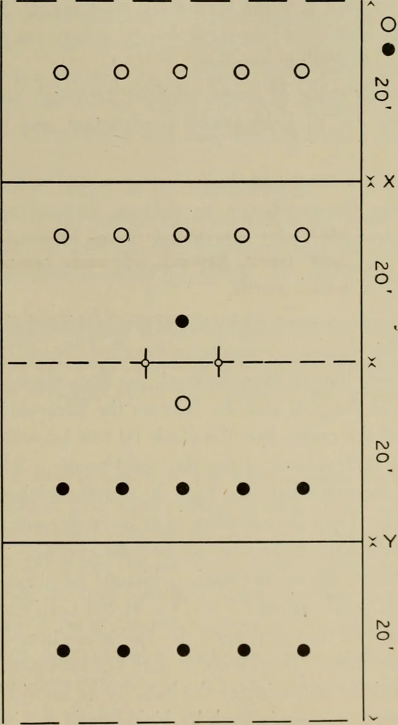 An illustration from Games and dances, 1920, leaf 208