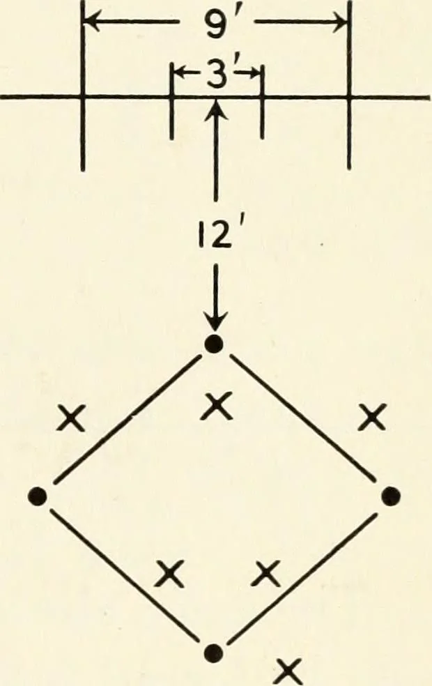 An illustration from Games and dances, a selected collection of games, song-games and dances suitable for schools, play-grounds, gymnastic associations, boys' & girls' clubs, etc, 1920, leaf 196