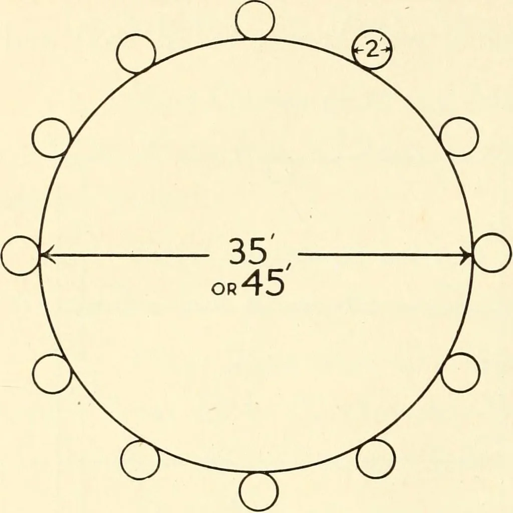 An illustration from Games and dances, a selected collection of games, song-games and dances suitable for schools, play-grounds, gymnastic associations, boys' & girls' clubs, etc, 1920, leaf 357