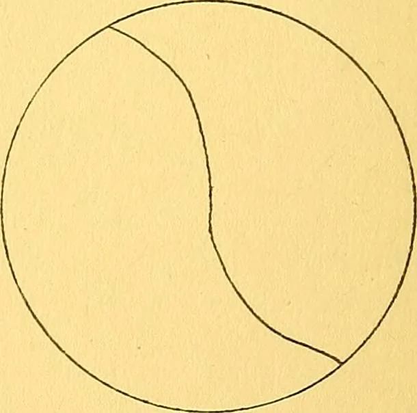 An illustration from Games and exercises for mental defectives, 1916, leaf 101