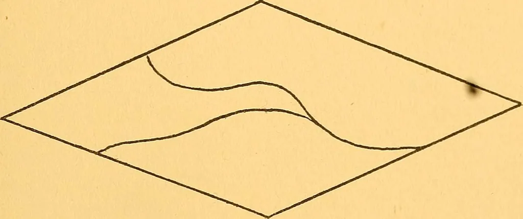 An illustration from Games and exercises for mental defectives, 1916, leaf 102