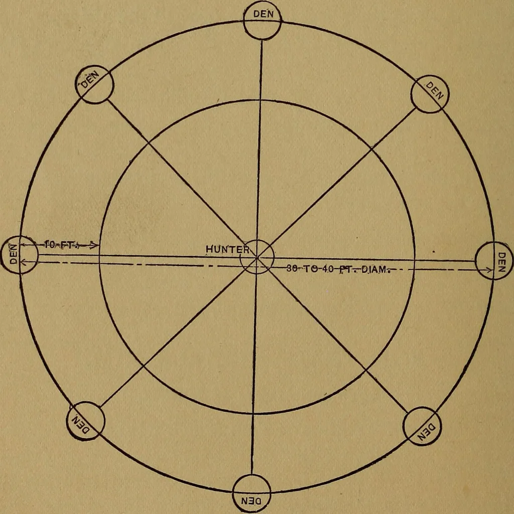 An illustration from Games for the playground, home, school and gymnasium, 1909, leaf 115