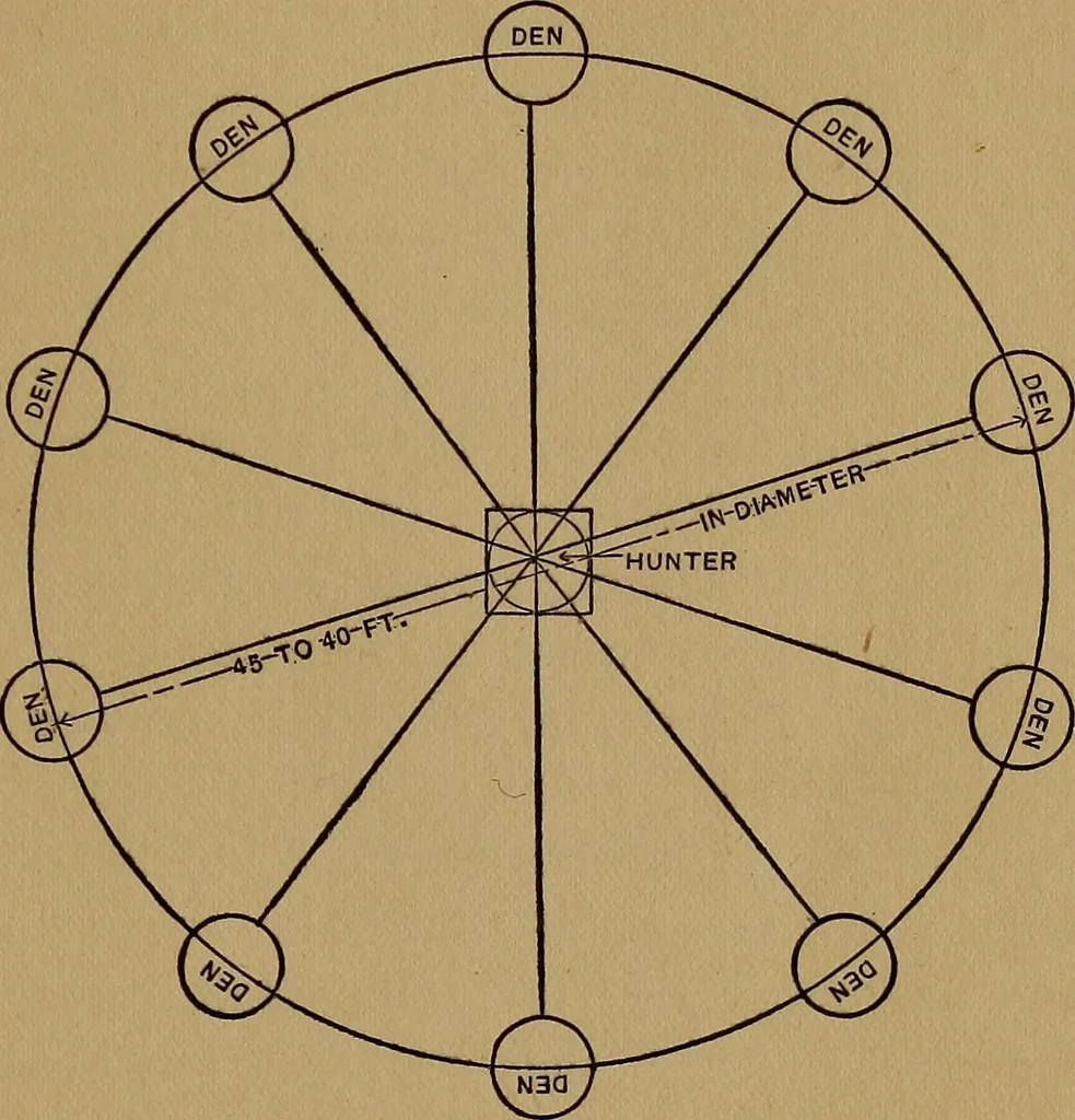 An illustration from Games for the playground, home, school and gymnasium, 1909, leaf 116
