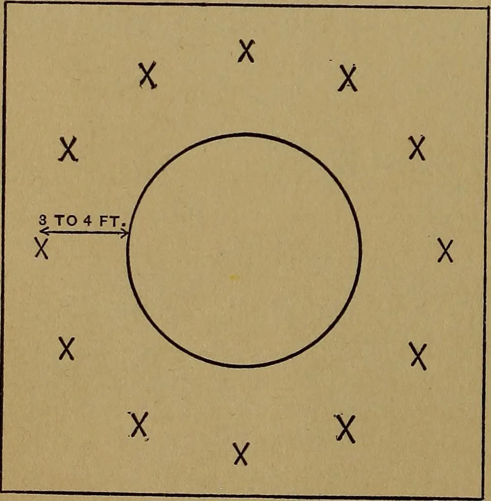 An illustration from Games for the playground, home, school and gymnasium, 1909, leaf 177