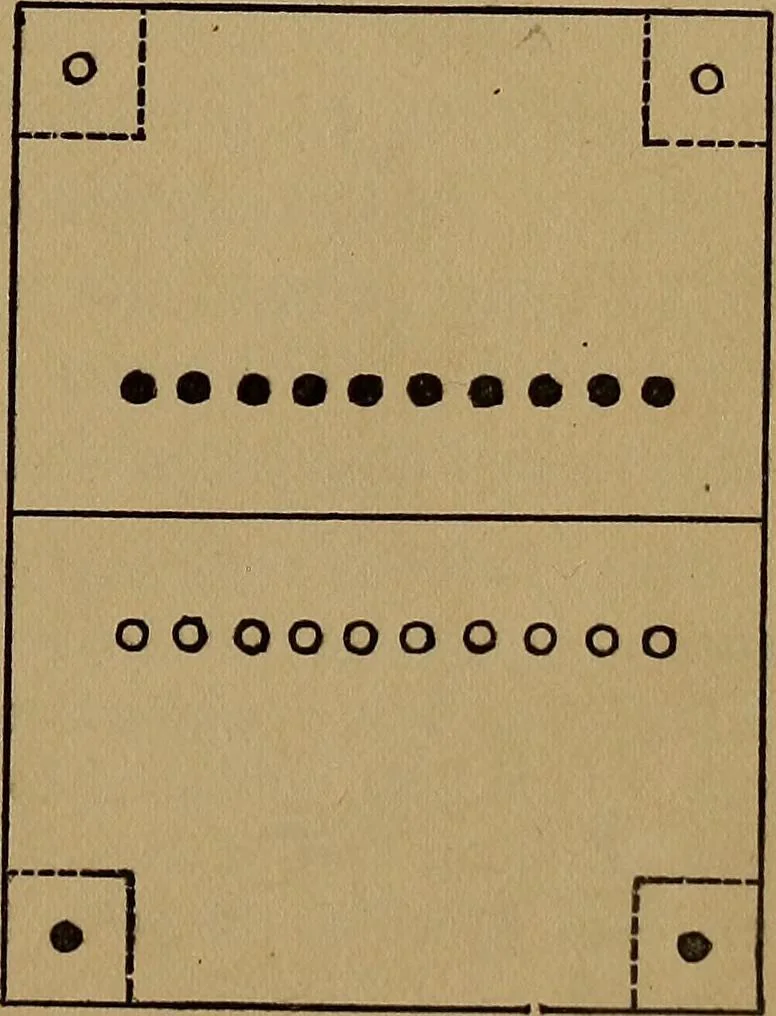An illustration from Games for the playground, home, school and gymnasium, 1909, leaf 410