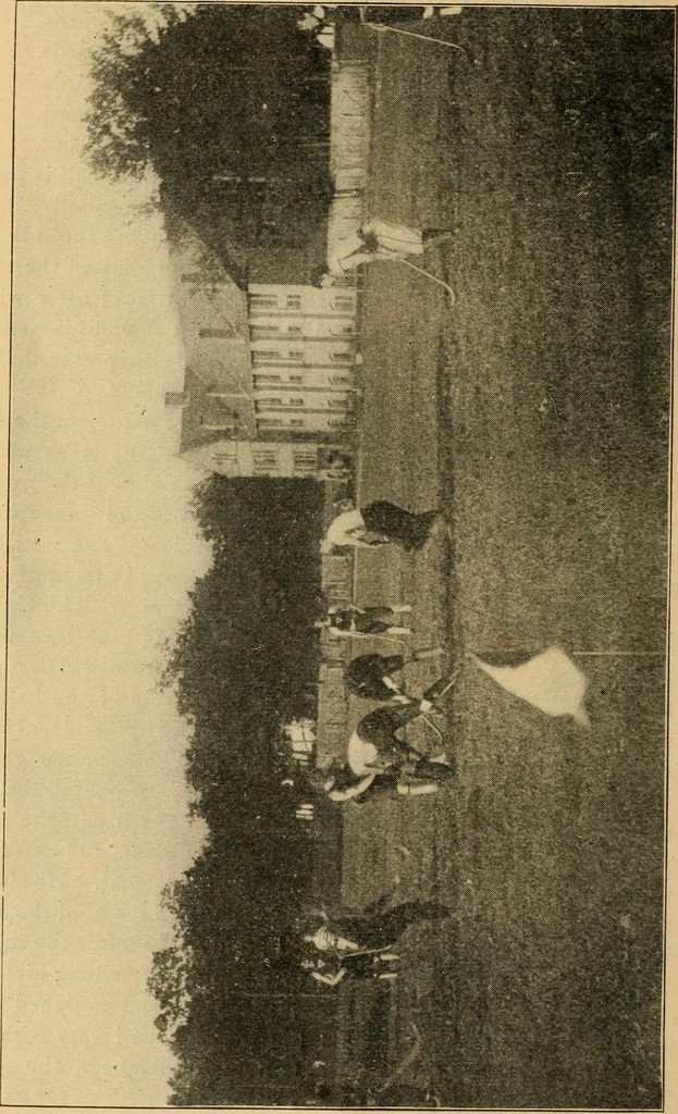 An illustration from The games of lawn hockey, tether ball, squash ball, golf-croquet, 1900, leaf 13