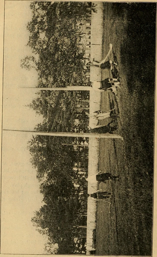 An illustration from The games of lawn hockey, tether ball, squash ball, golf-croquet, 1900, leaf 19