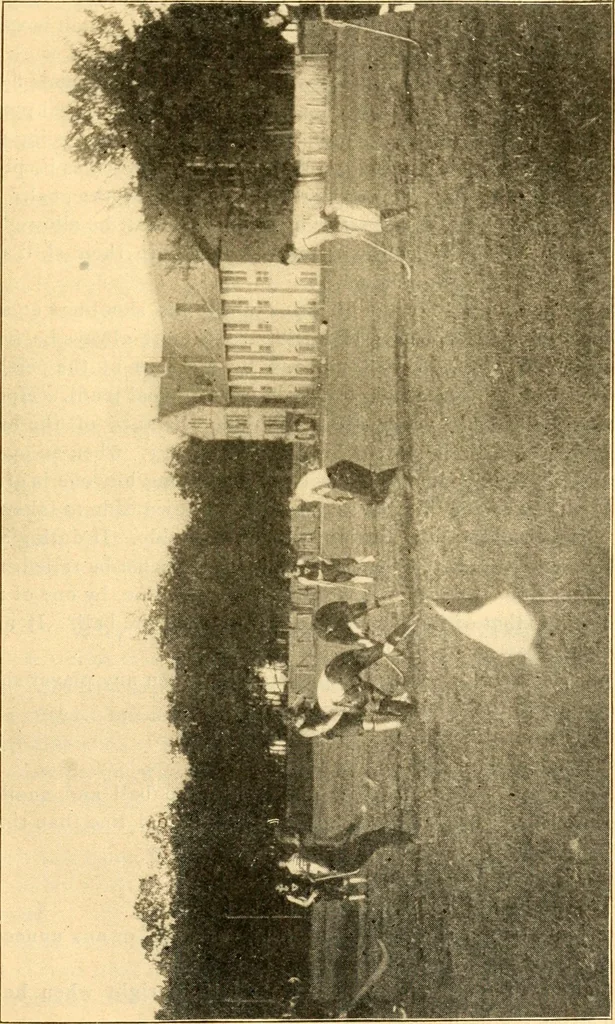 An illustration from The games of lawn hockey, tether ball, golf-croquet, hand tennis, volley ball, hand polo, wicket polo, laws of badminton, drawing room hockey, garden hockey, 1903, leaf 15