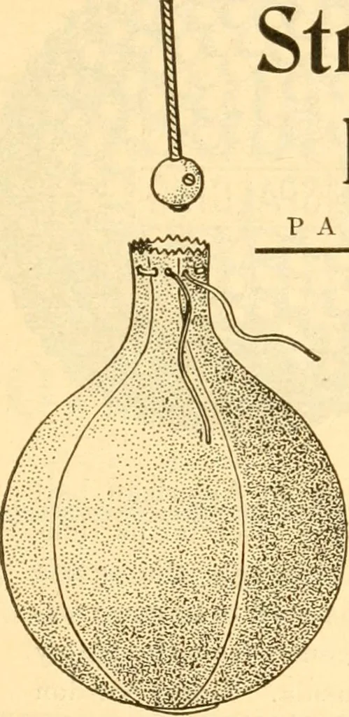 An illustration from The games of lawn hockey, tether ball, golf-croquet, hand tennis, volley ball, hand polo, wicket polo, laws of badminton, drawing room hockey, garden hockey, 1903, leaf 83