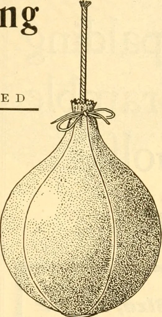 An illustration from The games of lawn hockey, tether ball, golf-croquet, hand tennis, volley ball, hand polo, wicket polo, laws of badminton, drawing room hockey, garden hockey, 1903, leaf 83