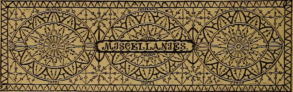 An illustration from Games of skill, and conjuring: including draughts, dominoes, chess, morrice, 1865, leaf 106