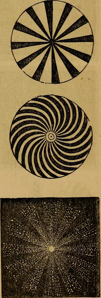 An illustration from Games of skill, and conjuring: including draughts, dominoes, chess, morrice, 1865, leaf 131