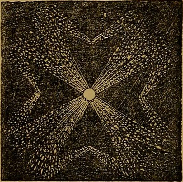 An illustration from Games of skill, and conjuring: including draughts, dominoes, chess, morrice, 1865, leaf 132