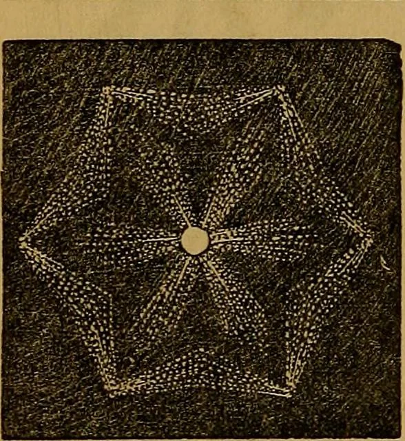 An illustration from Games of skill, and conjuring: including draughts, dominoes, chess, morrice, 1865, leaf 132