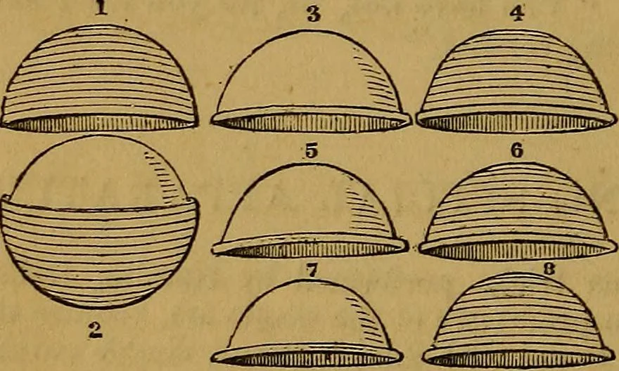 An illustration from Games of skill, and conjuring: including draughts, dominoes, chess, morrice, 1865, leaf 48