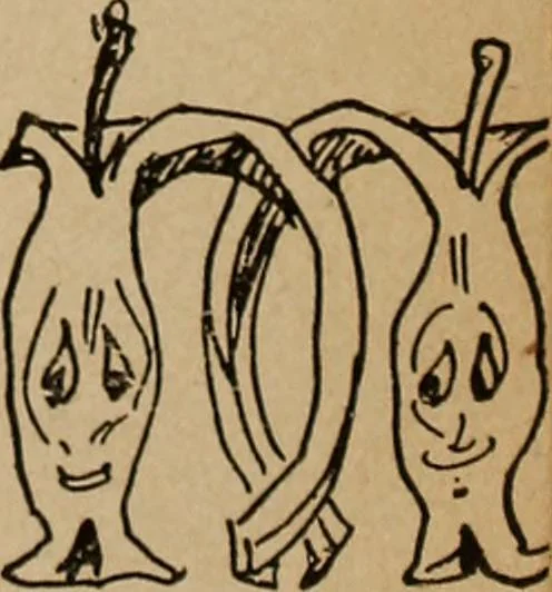 An illustration from Games, pastimes and amusements, for boys and girls;, 1906, leaf 154
