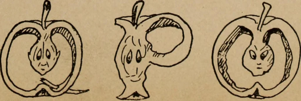 An illustration from Games, pastimes and amusements, for boys and girls;, 1906, leaf 154
