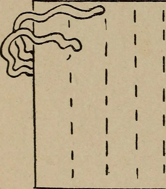 An illustration from Games, pastimes and amusements, for boys and girls;, 1906, leaf 171
