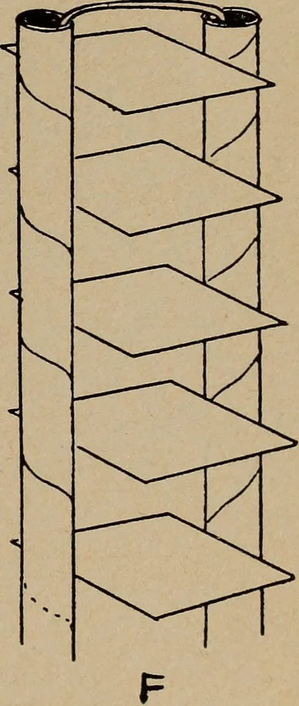 An illustration from Games, pastimes and amusements, for boys and girls;, 1906, leaf 172